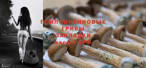 гидра Киренск