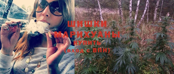 гидра Киренск